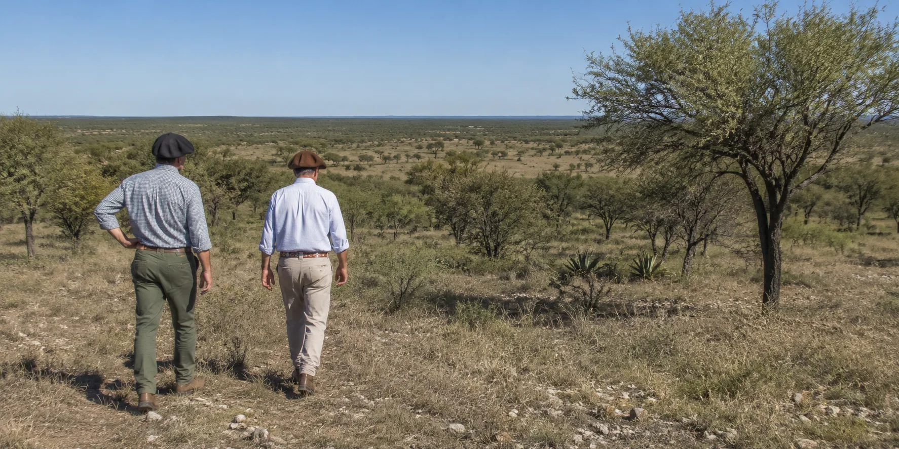 Campo rural